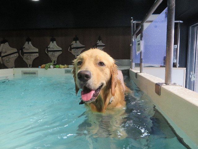 ファイル 7301-2.jpg