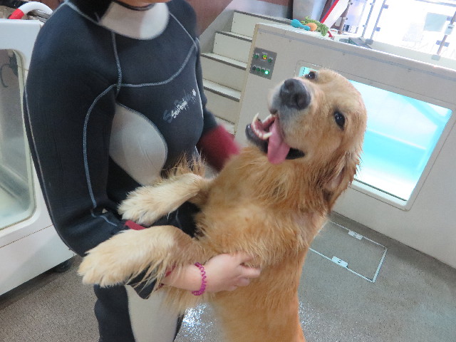 ファイル 7301-4.jpg