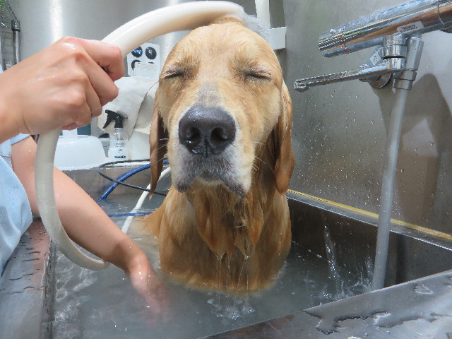 ファイル 7301-5.jpg