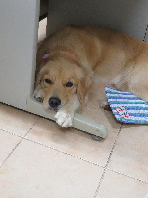 ファイル 7302-1.jpg