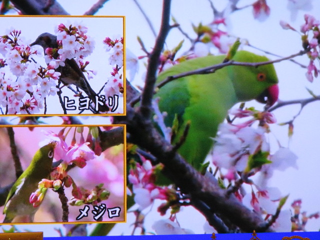 ファイル 7302-4.jpg