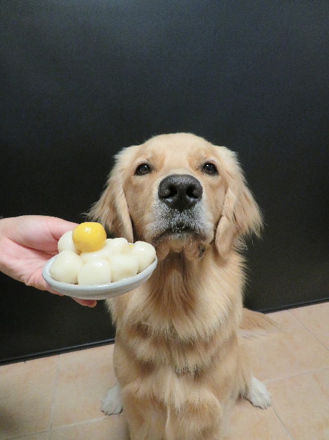 ファイル 7303-1.jpg