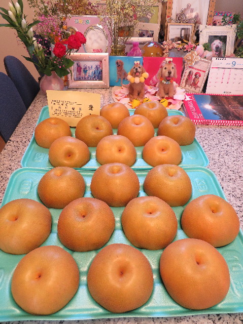 ファイル 7303-3.jpg