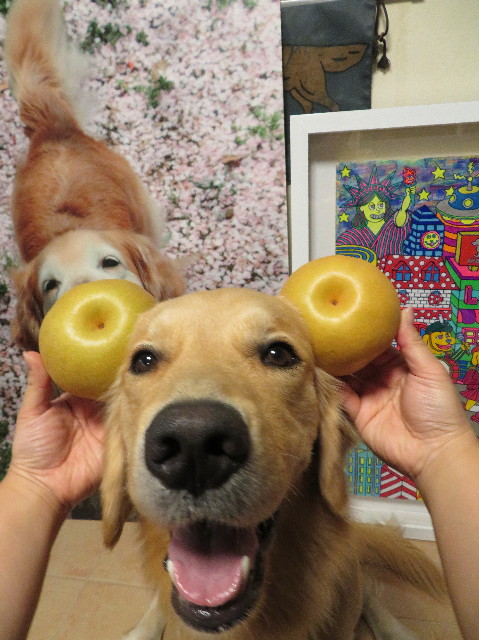 ファイル 7303-4.jpg