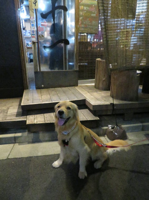 ファイル 7306-2.jpg