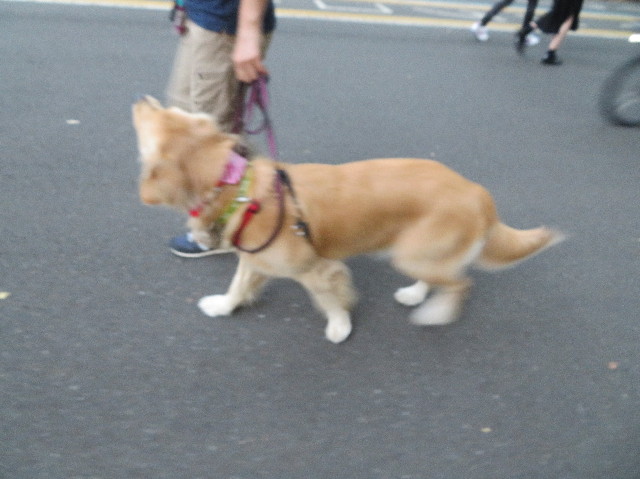 ファイル 7307-2.jpg