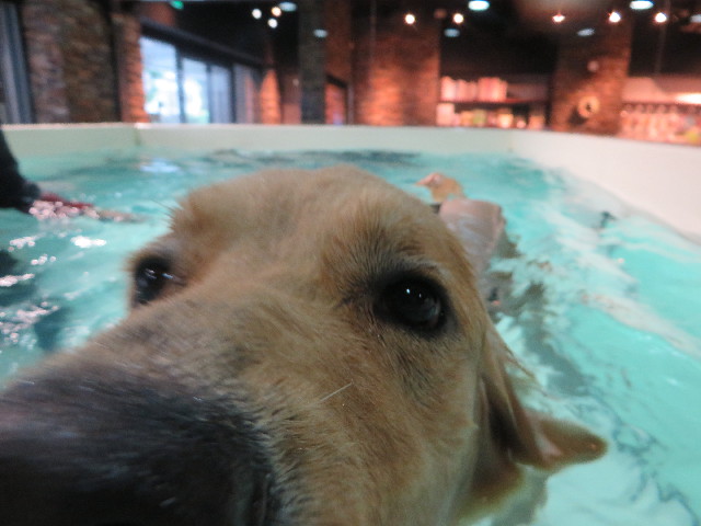 ファイル 7309-2.jpg