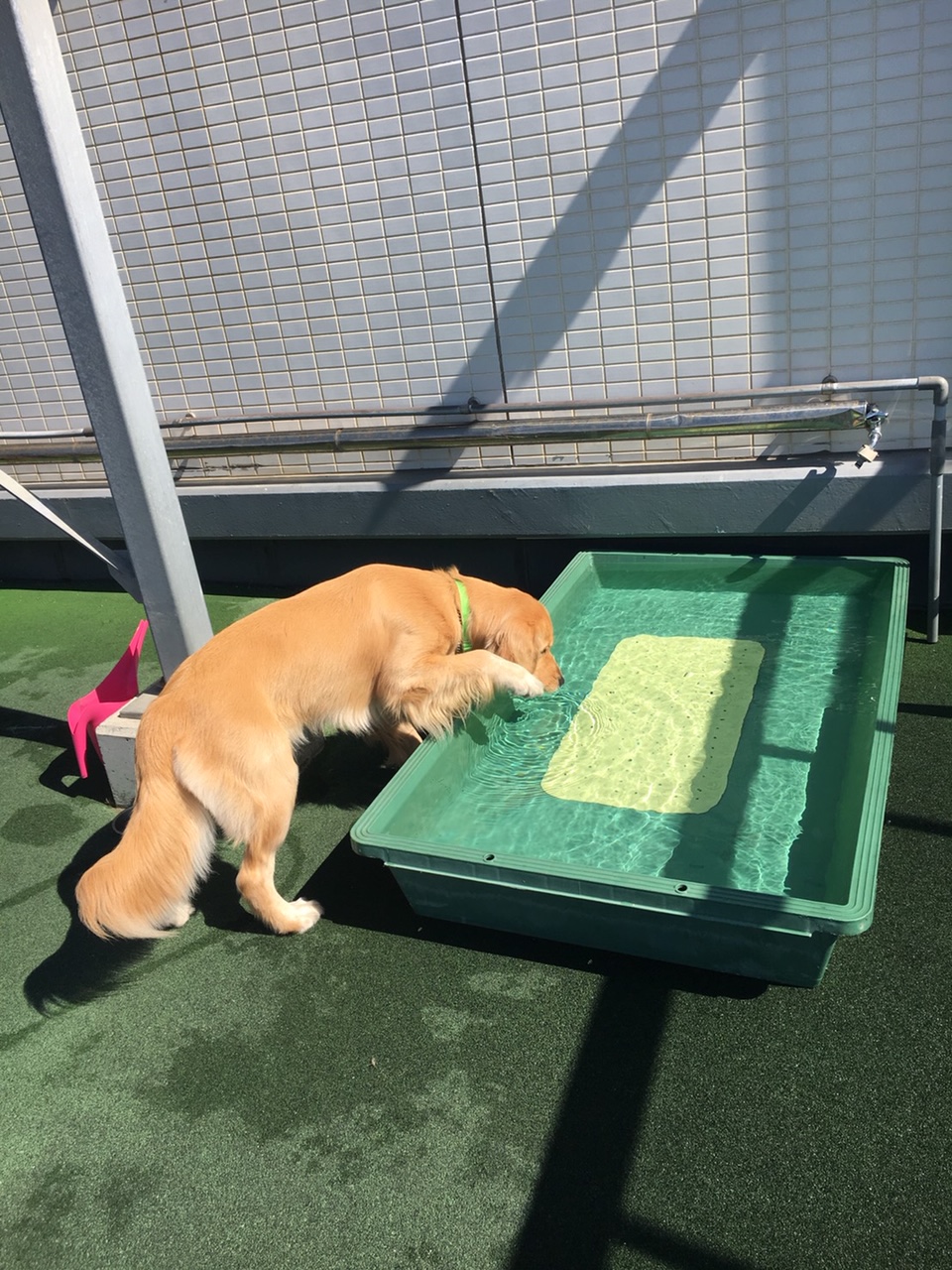 ファイル 7311-2.jpg