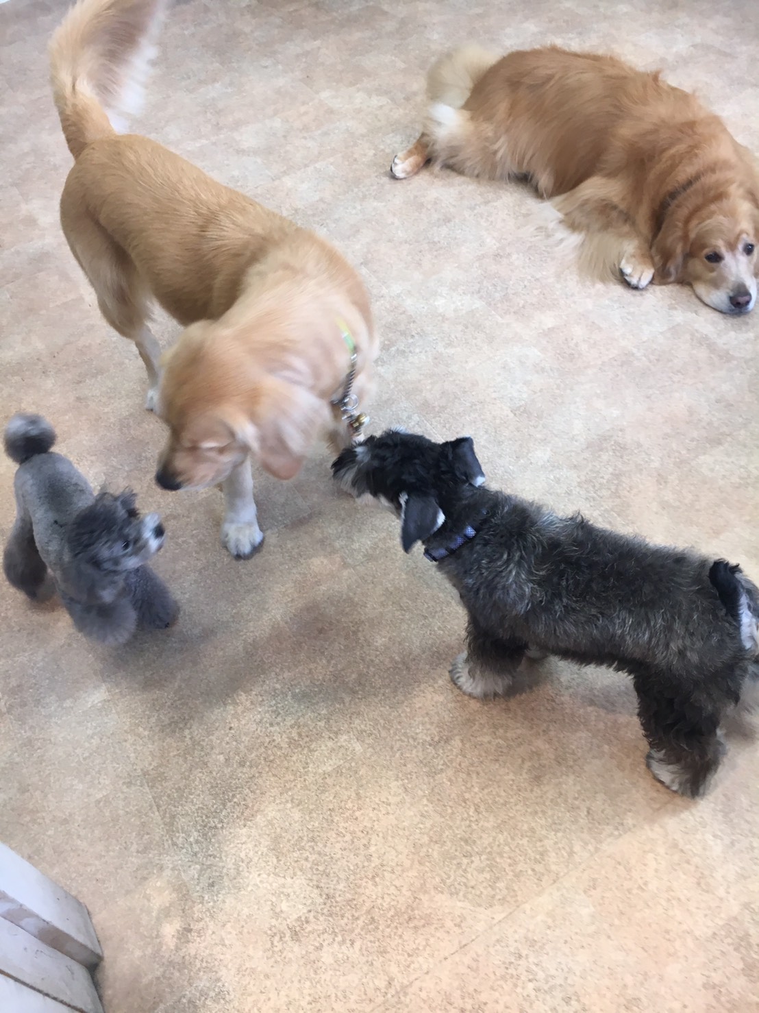 ファイル 7311-5.jpg