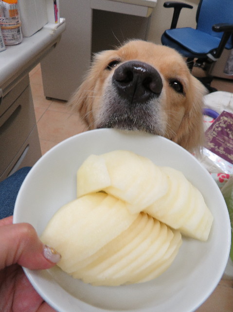 ファイル 7312-3.jpg