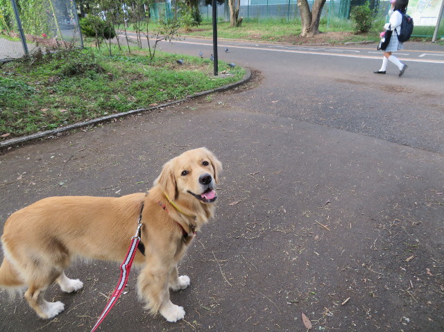 ファイル 7313-1.jpg