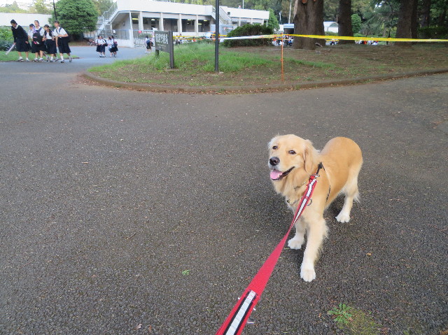 ファイル 7313-2.jpg