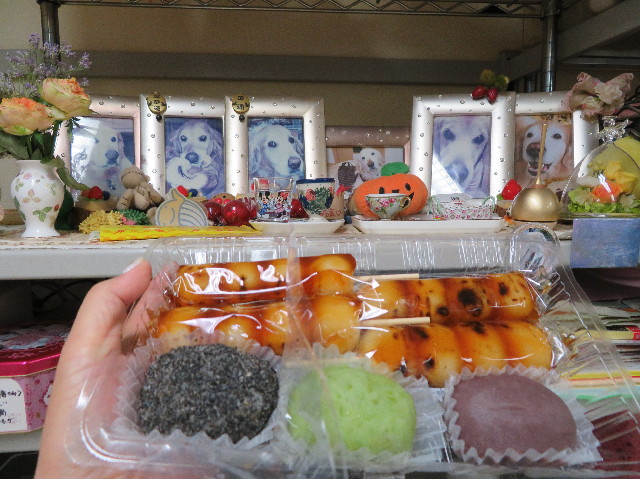 ファイル 7313-3.jpg