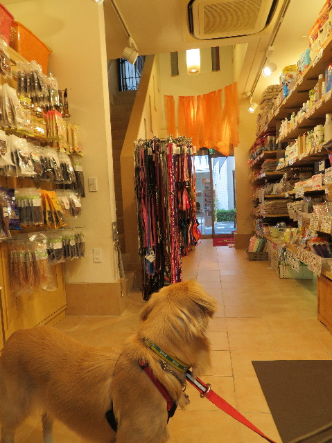 ファイル 7313-5.jpg