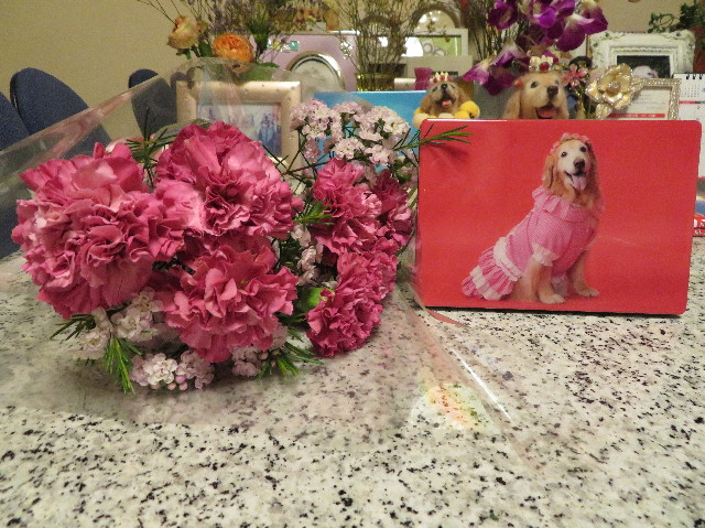 ファイル 7314-2.jpg