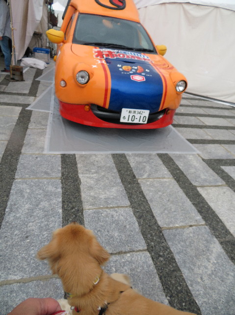 ファイル 7316-5.jpg