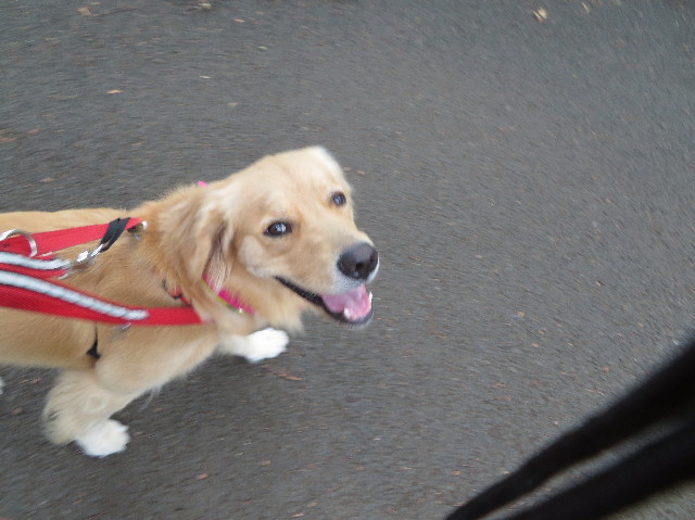 ファイル 7317-2.jpg