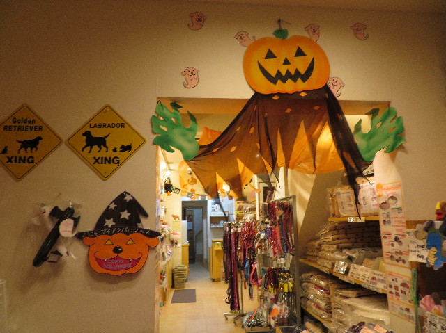 ファイル 7317-4.jpg