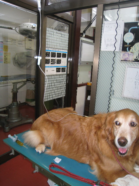 ファイル 732-1.jpg