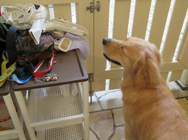 ファイル 7320-5.jpg