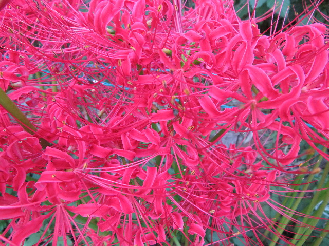 ファイル 7322-5.jpg