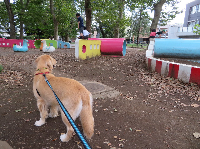 ファイル 7323-1.jpg