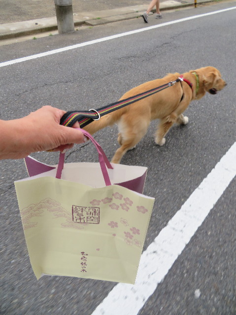 ファイル 7324-3.jpg