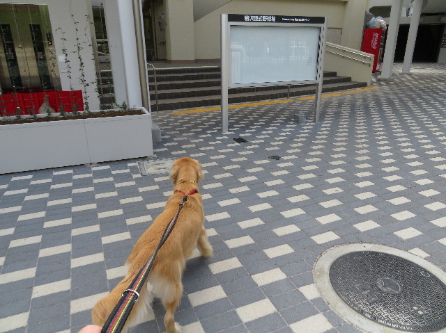 ファイル 7325-2.jpg