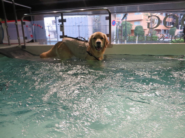 ファイル 7326-1.jpg