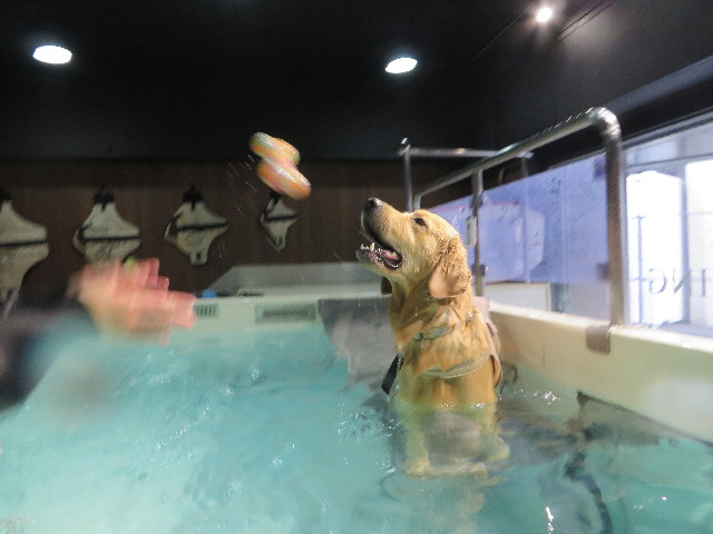 ファイル 7326-2.jpg