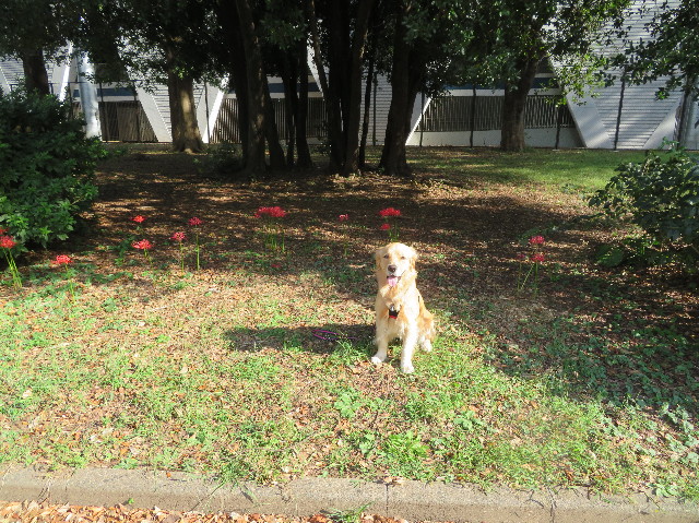 ファイル 7328-2.jpg