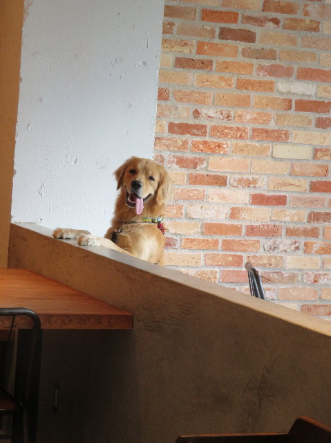 ファイル 7328-5.jpg