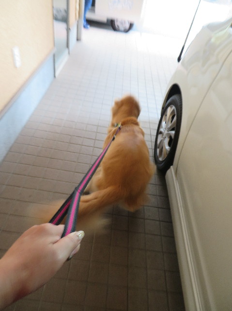 ファイル 7330-1.jpg