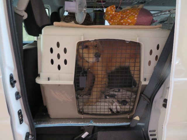 ファイル 7330-2.jpg