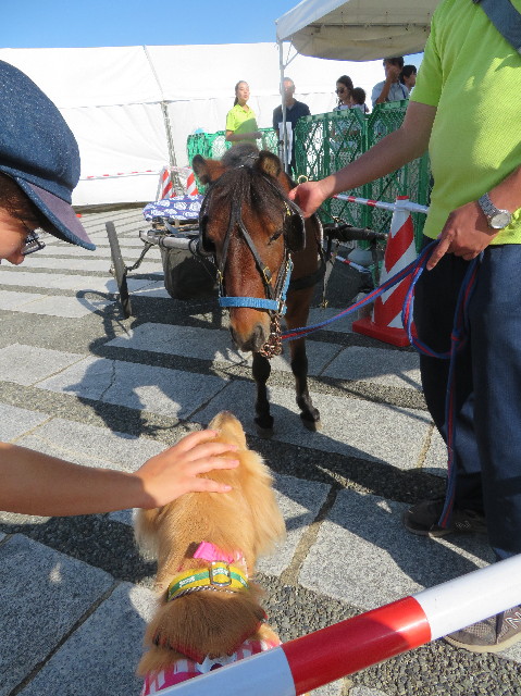 ファイル 7333-3.jpg