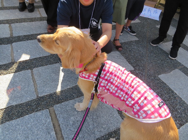 ファイル 7334-3.jpg