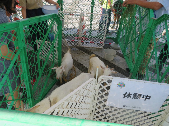 ファイル 7334-4.jpg