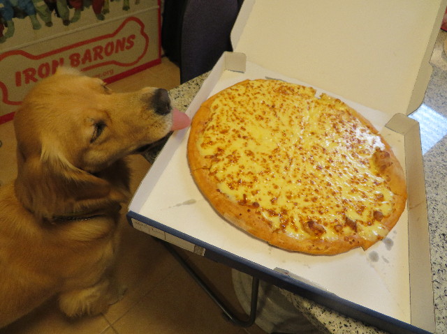 ファイル 7336-1.jpg