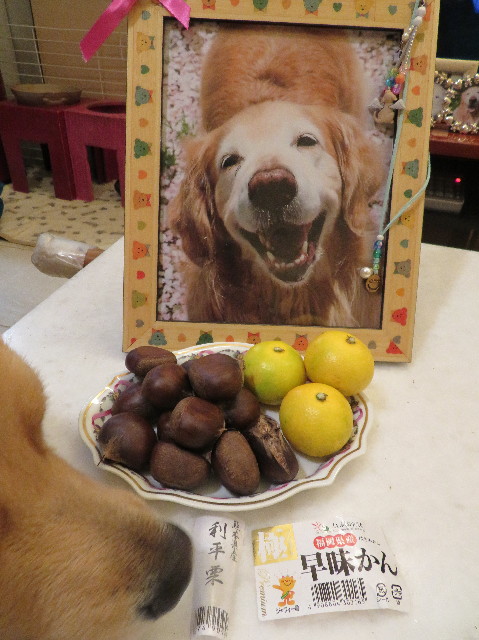 ファイル 7336-3.jpg