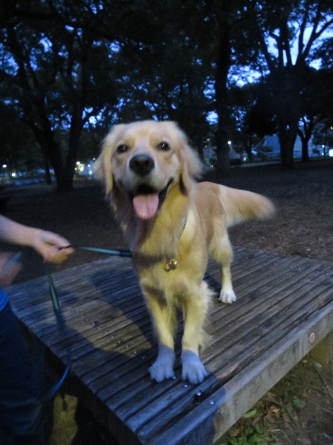 ファイル 7336-5.jpg