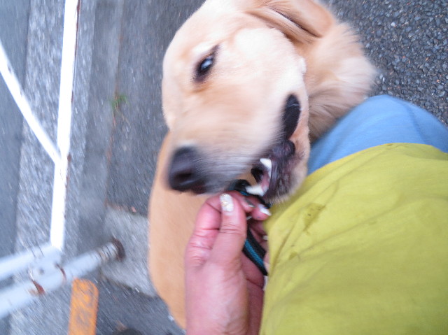 ファイル 7338-5.jpg