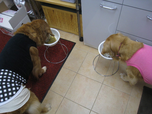 ファイル 734-3.jpg