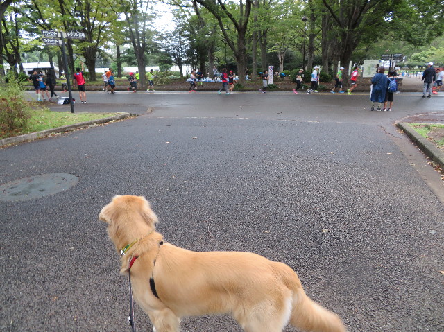 ファイル 7344-1.jpg