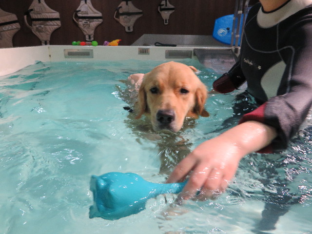 ファイル 7346-2.jpg