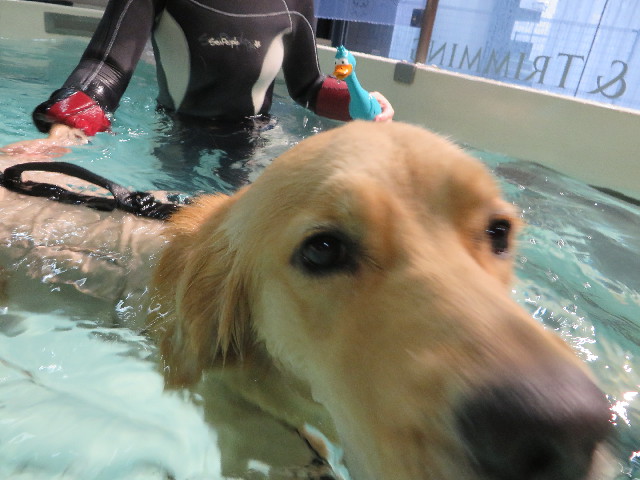 ファイル 7346-3.jpg