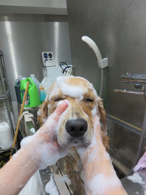 ファイル 7346-5.jpg