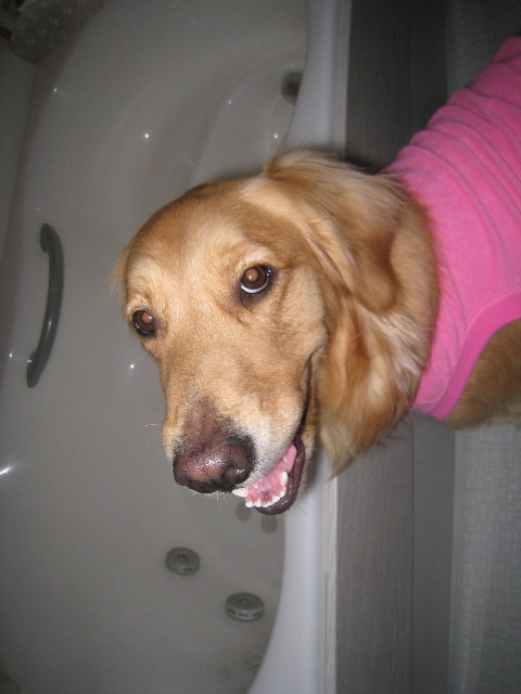 ファイル 735-2.jpg