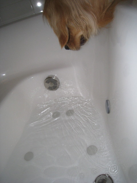 ファイル 735-3.jpg