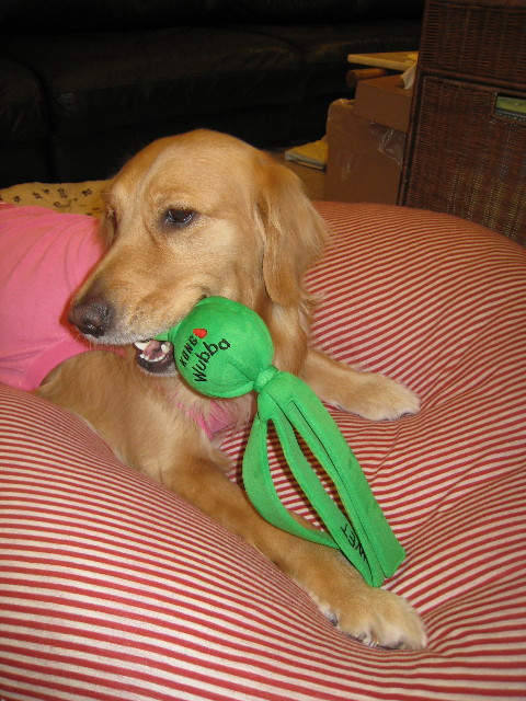 ファイル 735-4.jpg