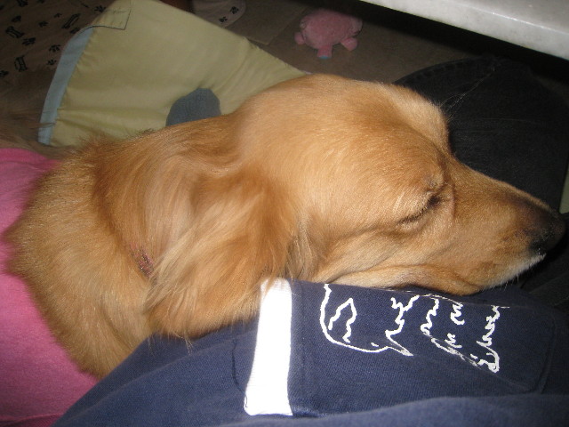 ファイル 735-5.jpg